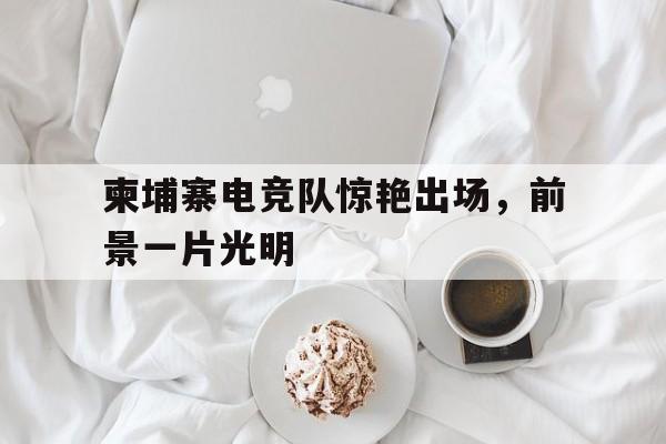 柬埔寨电竞队惊艳出场，前景一片光明的简单介绍