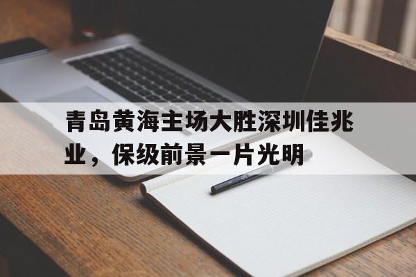 青岛黄海主场大胜深圳佳兆业，保级前景一片光明的简单介绍
